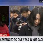 Gara-Gara Insiden Kacang Korean Airlines Hukuman Pengganggu Penerbangan Kian Berat
