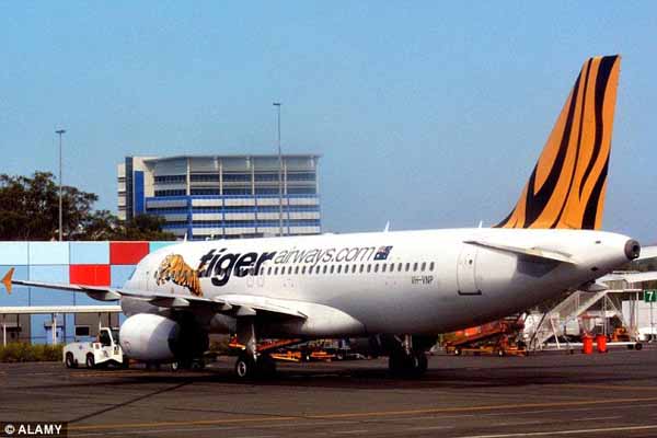 tiger air