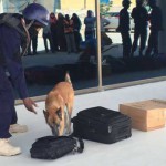 X-Ray Bandara Mogadishu Somalia Gagal Deteksi Bom