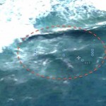 Pemburu UFO Klaim Temukan MH370