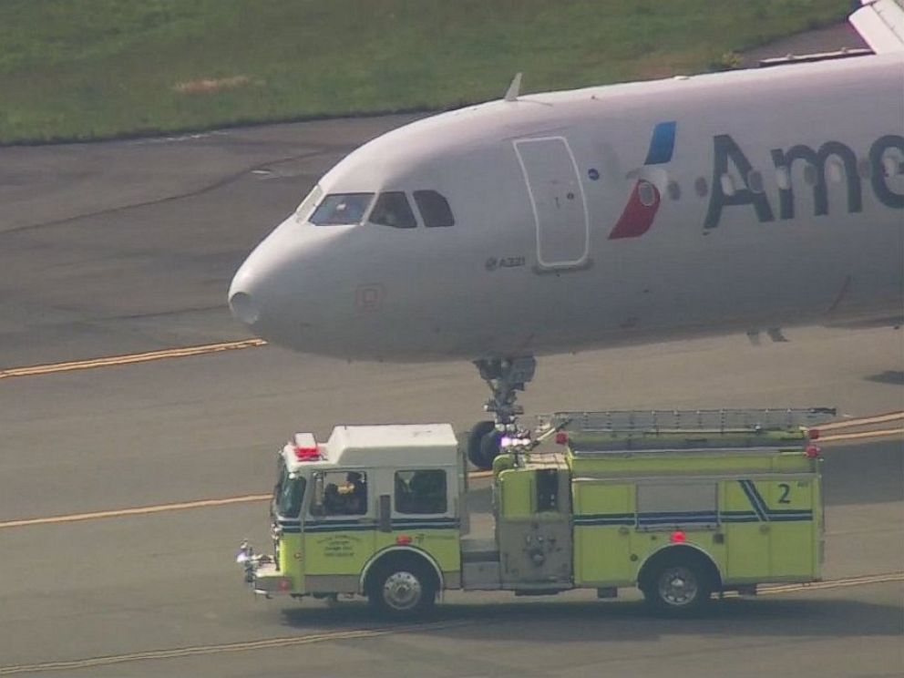 Hidung Penyok Karena Tabrak Burung Airbus A321 American Airlines Putar Balik