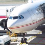 Tawon Paksa Pesawat Etihad Mendarat 18 Ton di Atas Berat Normal