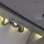 Ular Muncul di Kabin Pesawat, Penumpang Aeromexico Panik