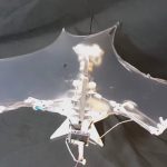 Ilmuwan Amerika Ciptakan Drone Kelelawar