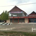 Hewan Ternak Bebas Berkeliaran di Bandara Alas Leuser