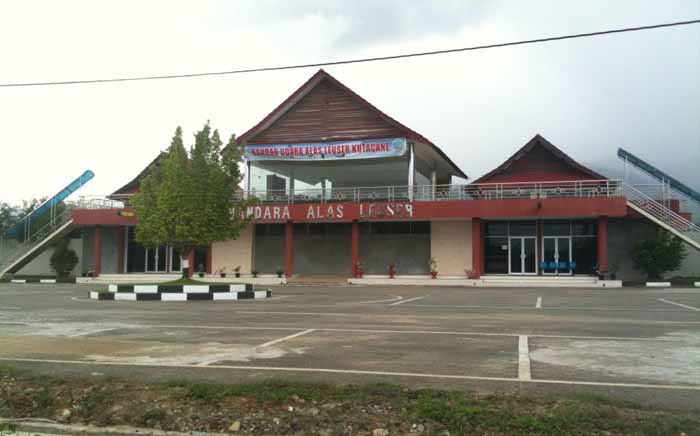 Hewan Ternak Bebas Berkeliaran di Bandara Alas Leuser