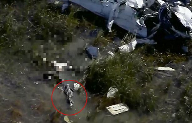 Mayat Pilot Pesawat yang Jatuh di Florida Dimakan Buaya