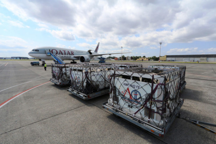 Qatar Airways Angkut Sapi Perah Tembus Blokade Ekonomi