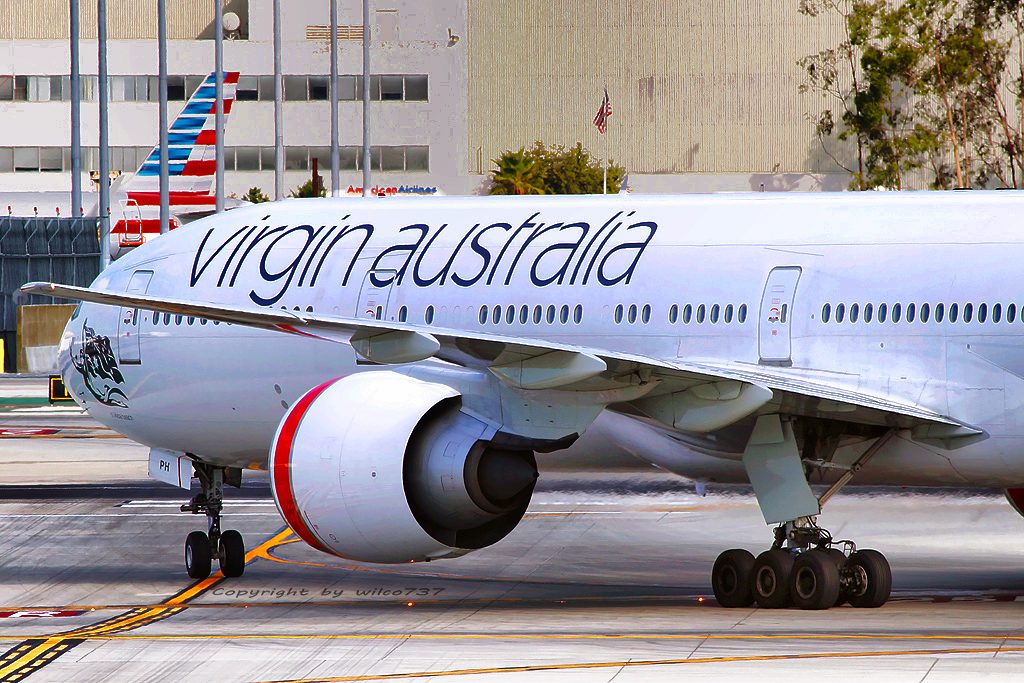Virgin Nabrak Burung …………. dan Kelinci