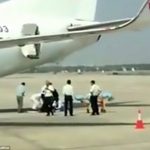 Pramugari Jatuh Waktu Mau Tutup Pintu