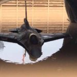 Butuh Hingga 3 Bulan untuk Memperbaiki F-16 Israel Yang Kebanjiran